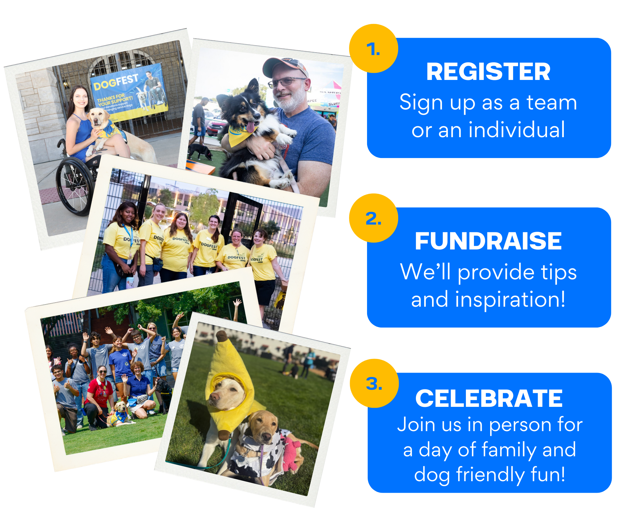 registerfundraisecelebrate_boxes3.png